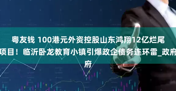 粤友钱 100港元外资控股山东鸿翔12亿烂尾项目！临沂卧龙教育小镇引爆政企债务连环雷_政府